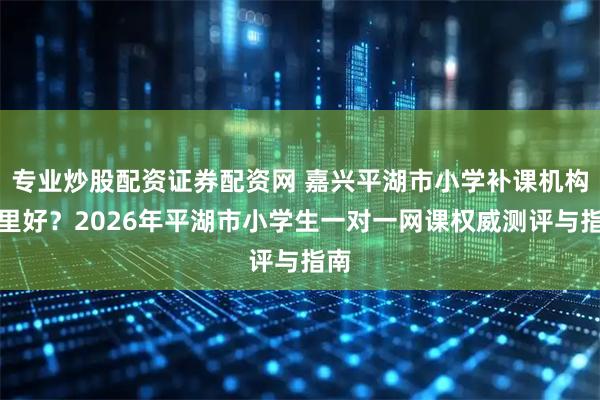 专业炒股配资证券配资网 嘉兴平湖市小学补课机构哪里好？2026年平湖市小学生一对一网课权威测评与指南